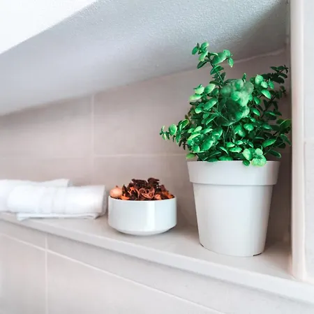 Casa De Antoni E Llúcia *