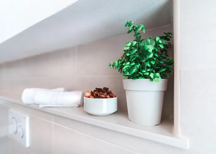 Casa De Antoni E Llucia *